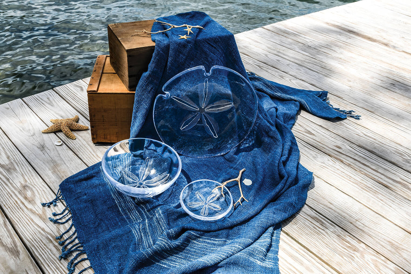 Piatto Sand Dollar - M