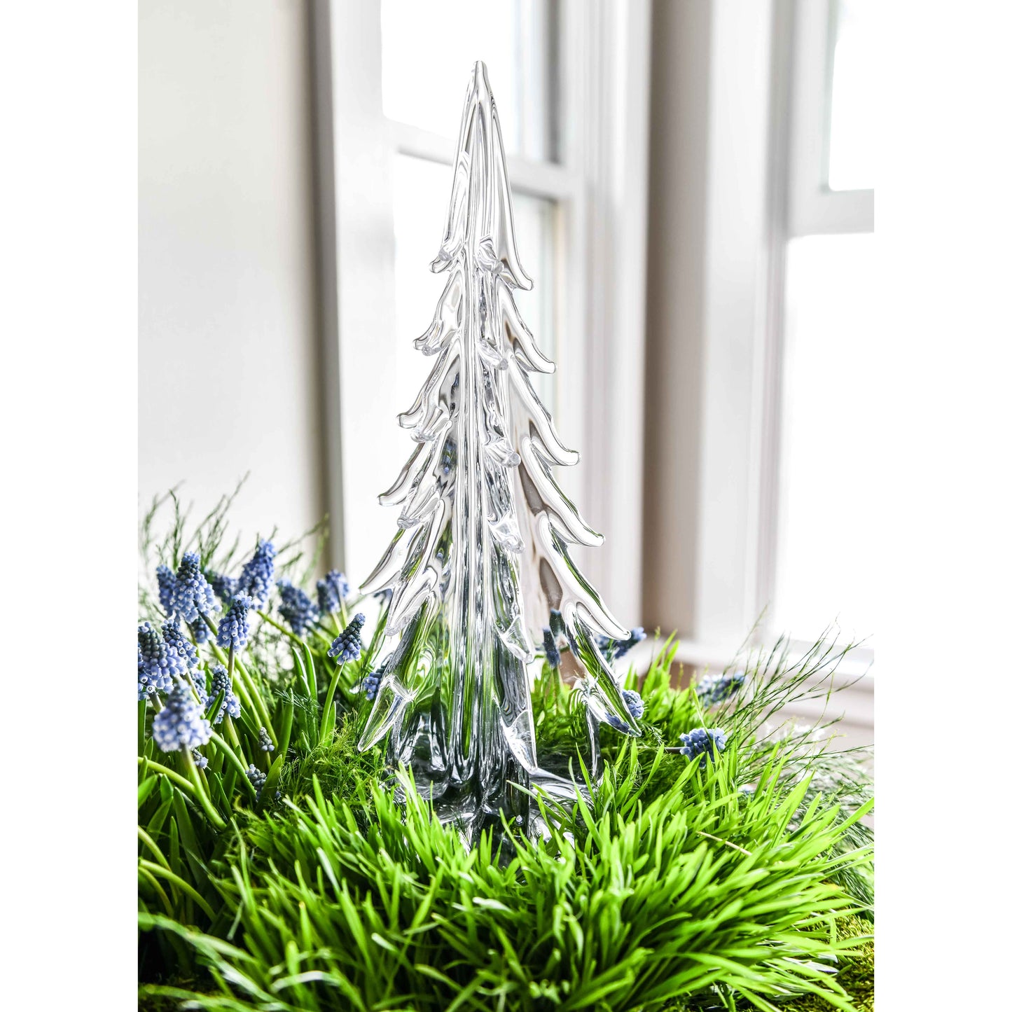 Sempreverde illuminato a cinque lati