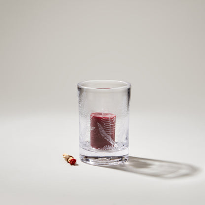 Felce incisa Hurricane