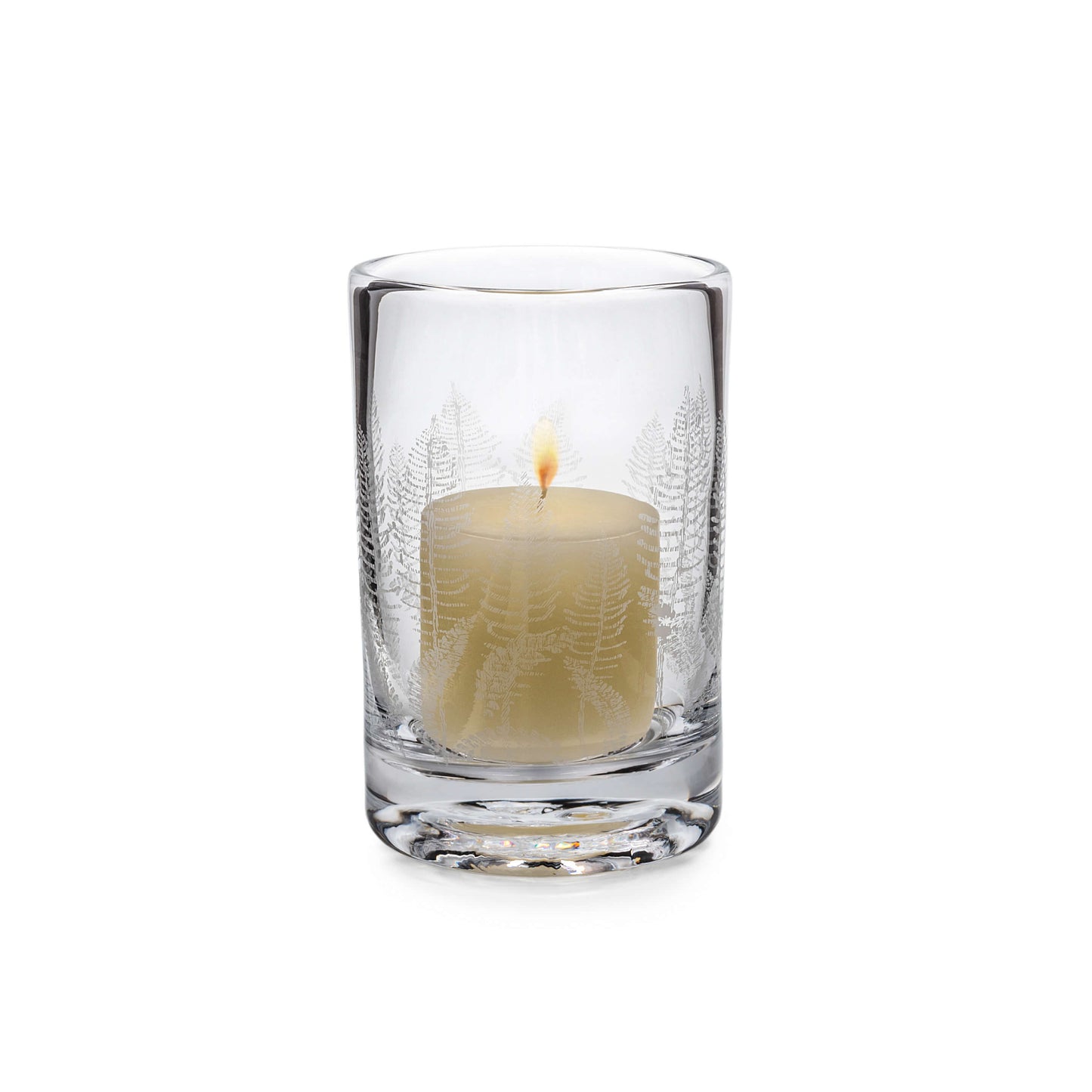 Felce incisa Hurricane