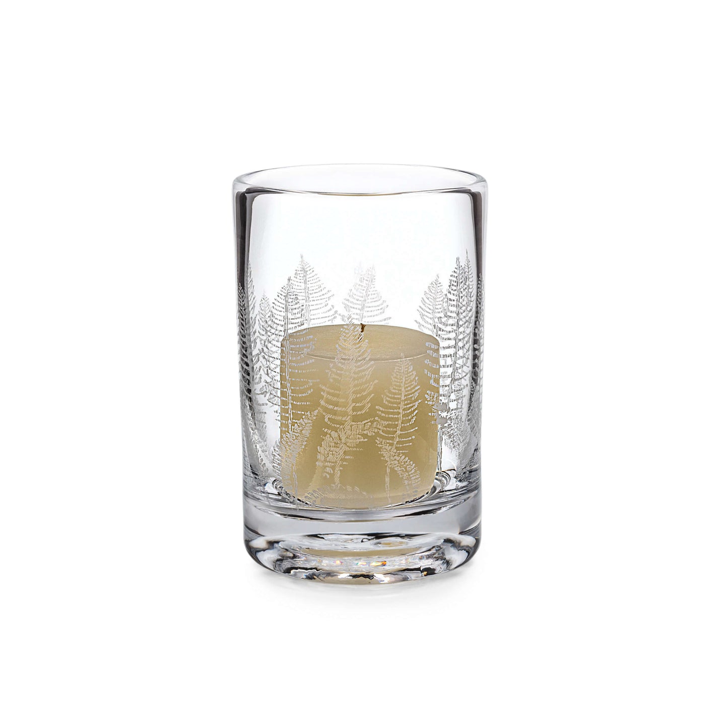 Felce incisa Hurricane