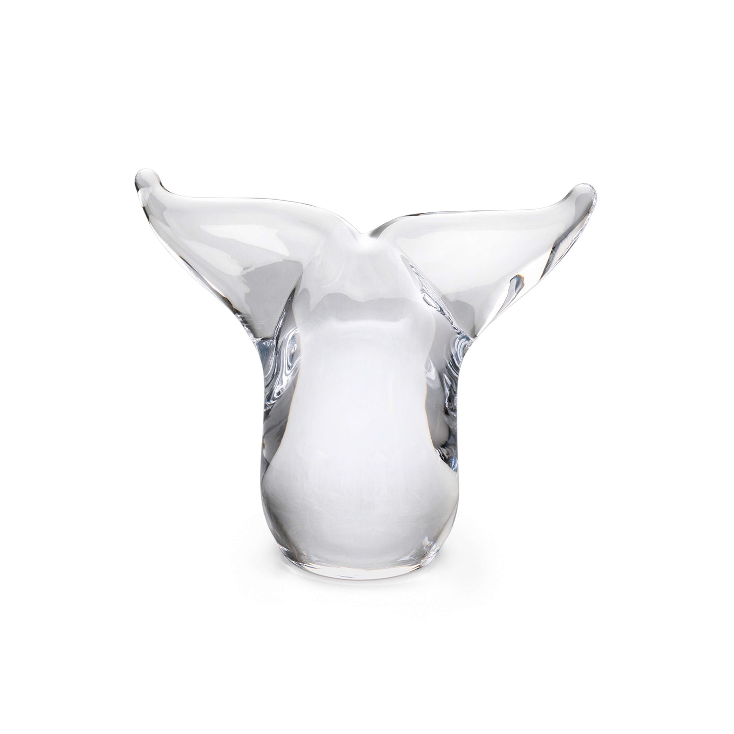 Coda di balena - S - 2°