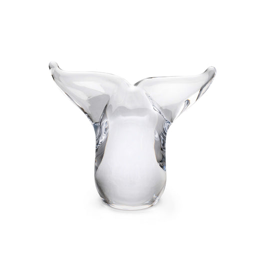 Coda di balena - S - 2°