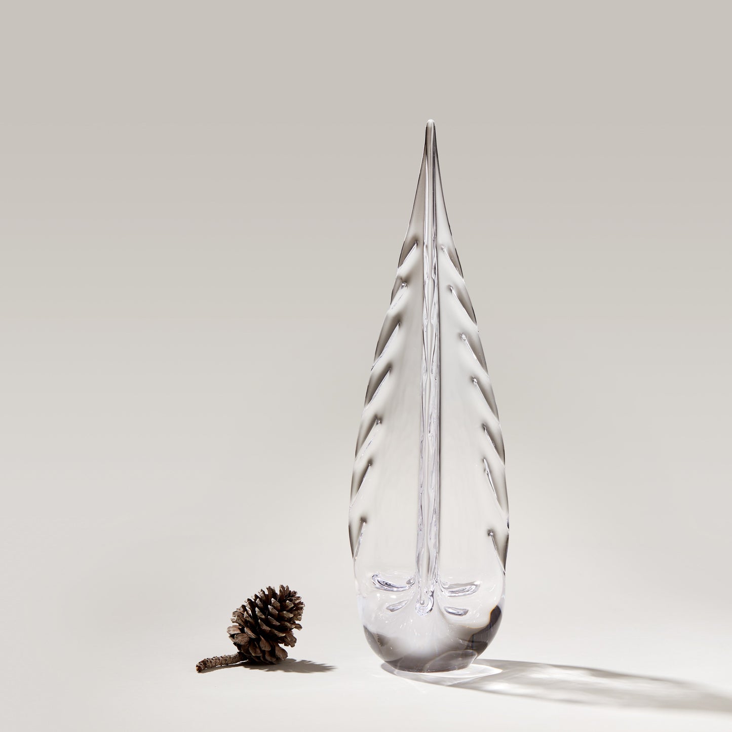 Sempreverde carico di ghiaccio