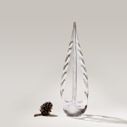 Sempreverde carico di ghiaccio