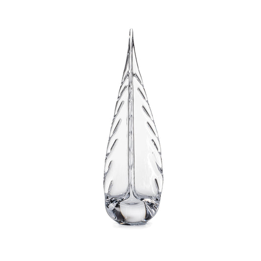 Sempreverde carico di ghiaccio