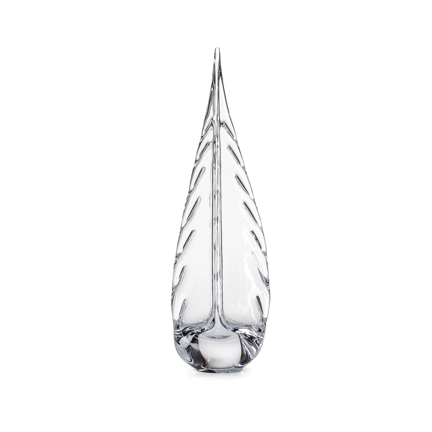 Ice Laden Evergreen - 16 pollici 2°