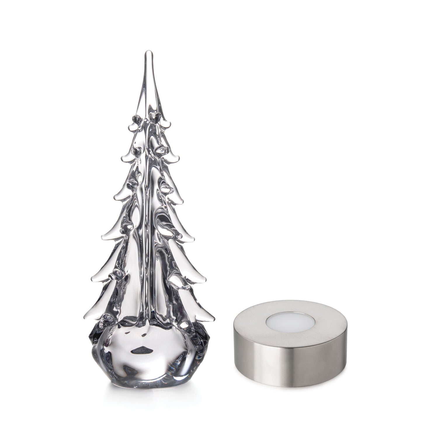 Sempreverde a cinque lati in confezione regalo