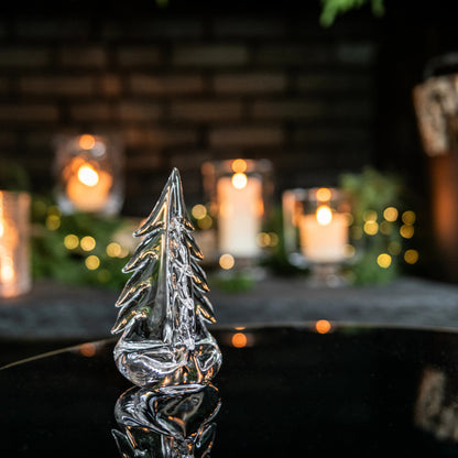 Vermont Evergreen in confezione regalo