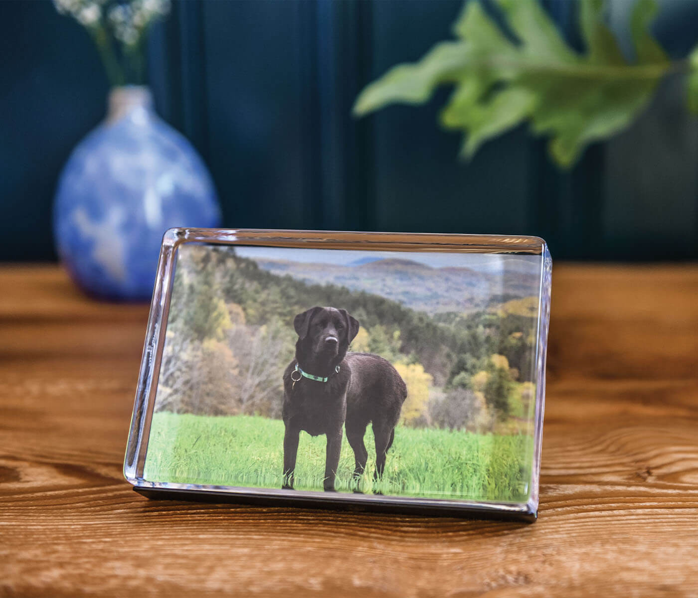 Blocco fotografico orizzontale Woodbury