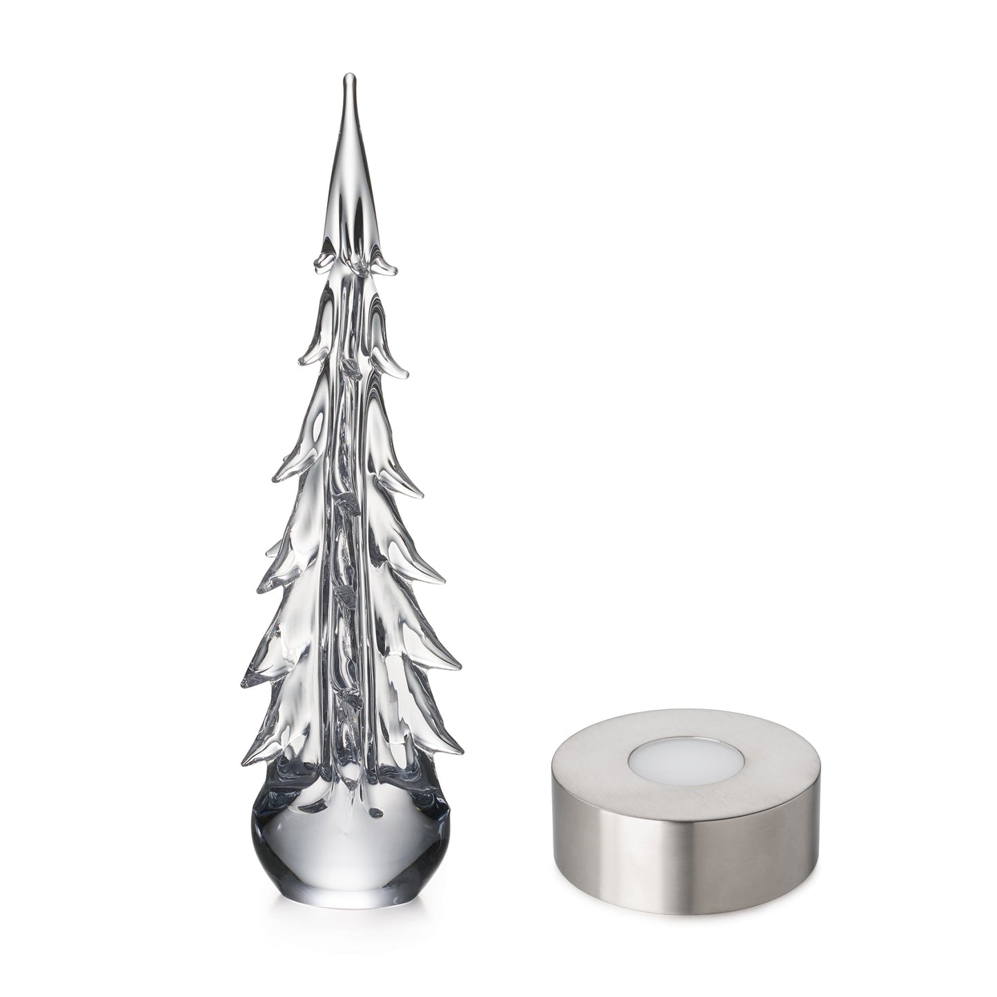 Sempreverde a cinque lati in confezione regalo