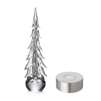 Sempreverde a cinque lati in confezione regalo