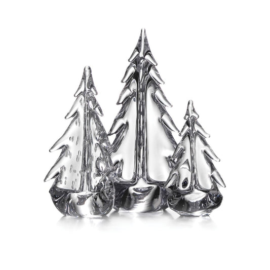 Trio sempreverde del Vermont