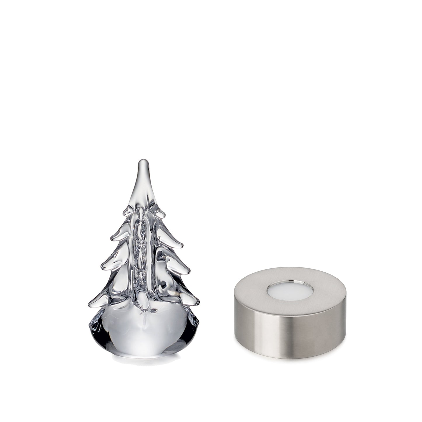 Sempreverde a cinque lati in confezione regalo