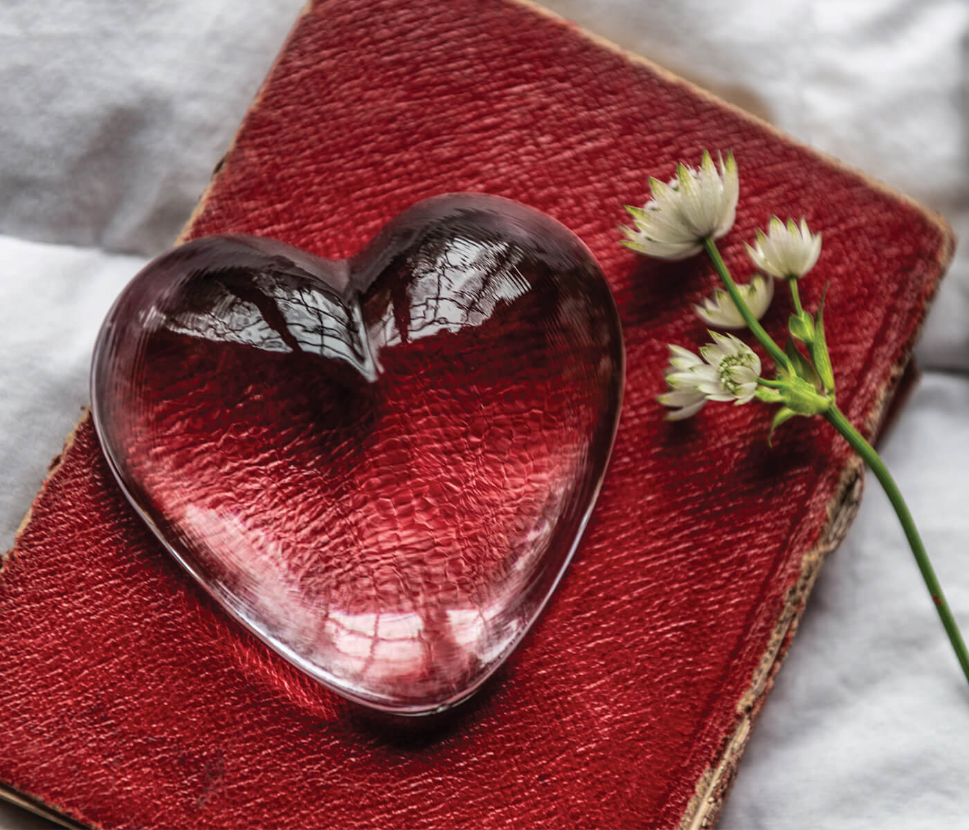 Cuore di Highgate, medio