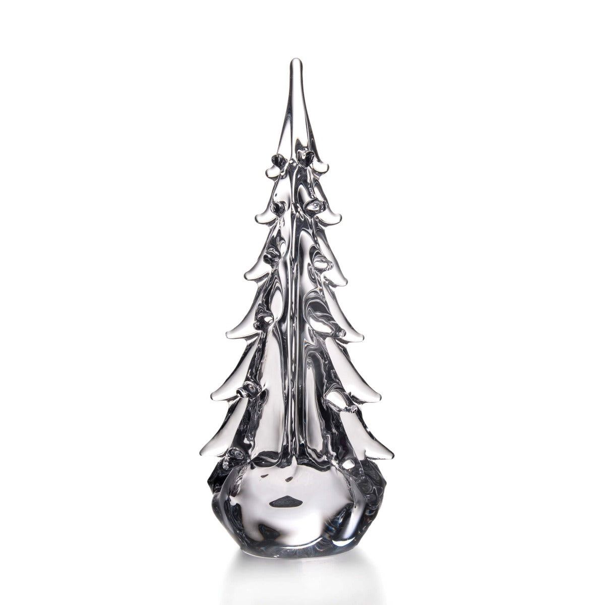 Sempreverde a cinque lati - 14 pollici 2°