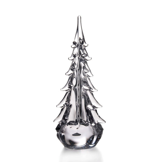 Sempreverde a cinque lati - 14 pollici 2°