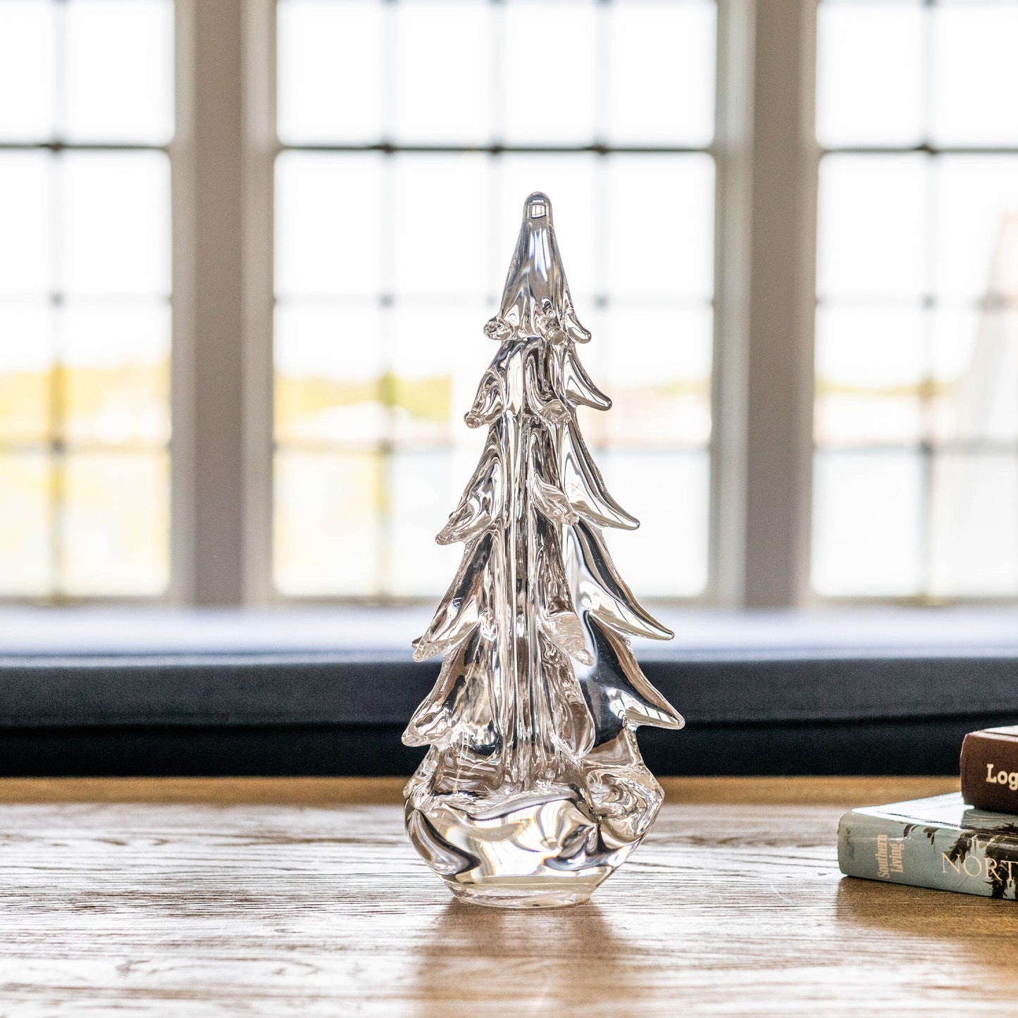 Sempreverde a cinque lati in confezione regalo