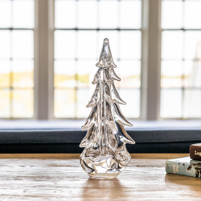 Sempreverde a cinque lati in confezione regalo