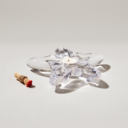 Tealight a forma di stella marina in confezione regalo