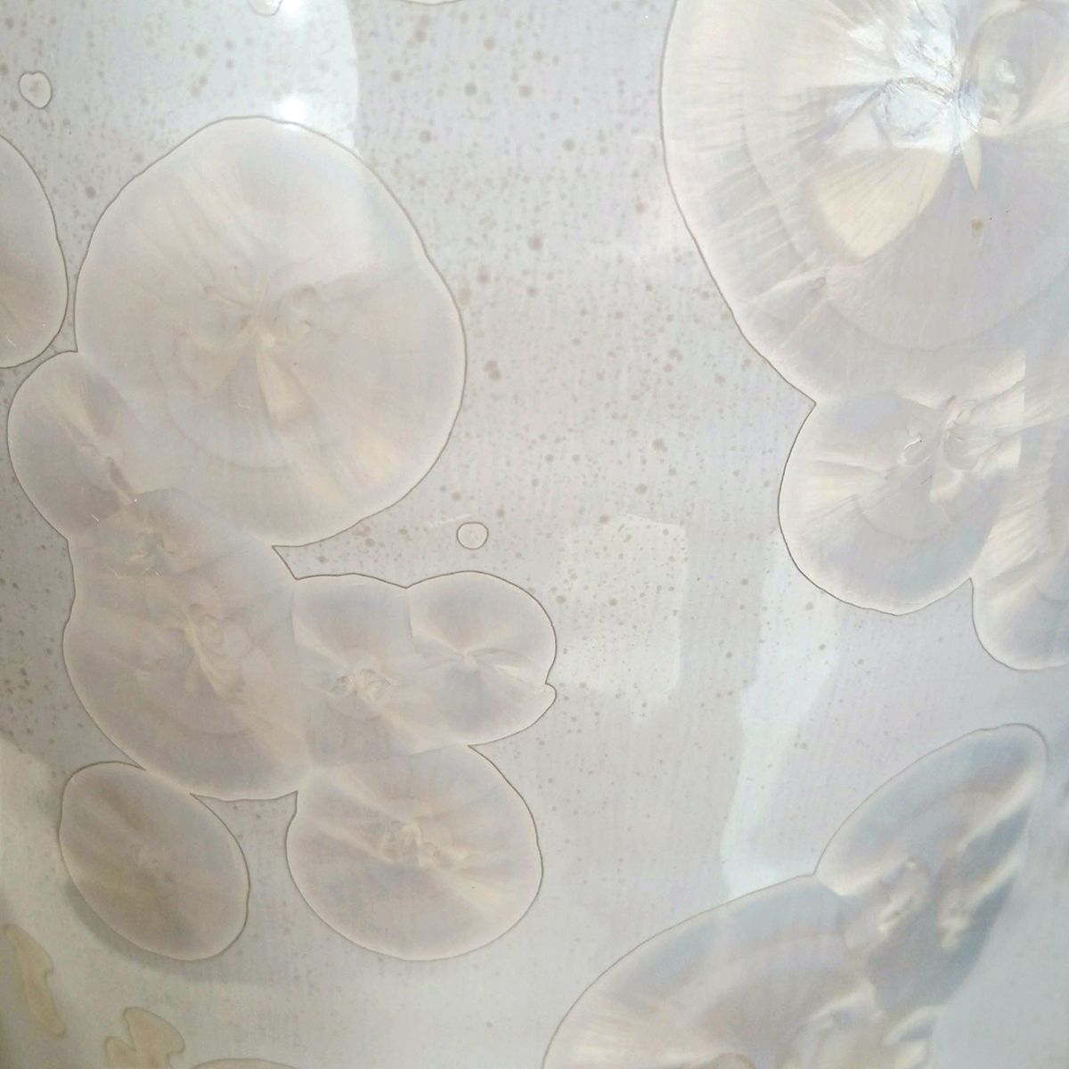 Ciotola bassa cristallina - L - 2a - Candent White