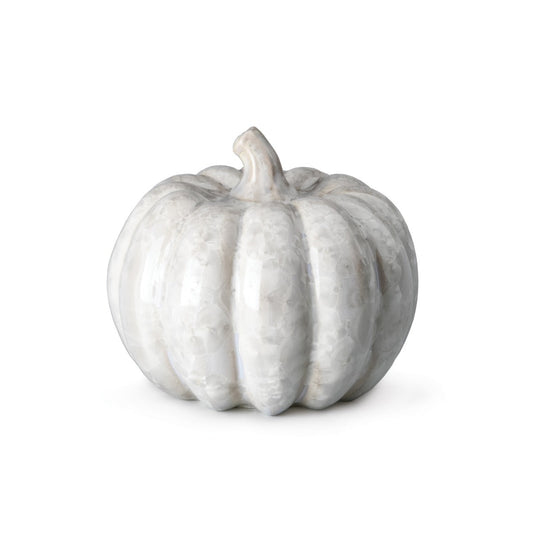 Zucca cristallina - M - 2° - Candent White
