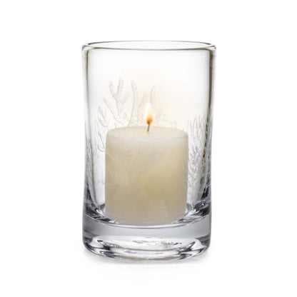 Corallo inciso Hurricane - M