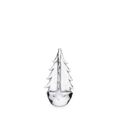 Crackle Evergreen in confezione regalo