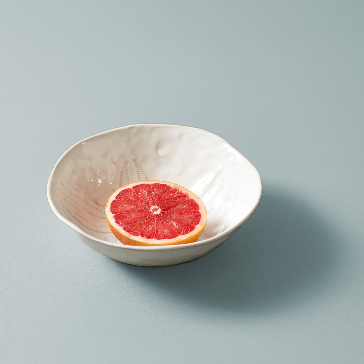 Burlington Sand Dollar Pasta Bowl - Nuvola