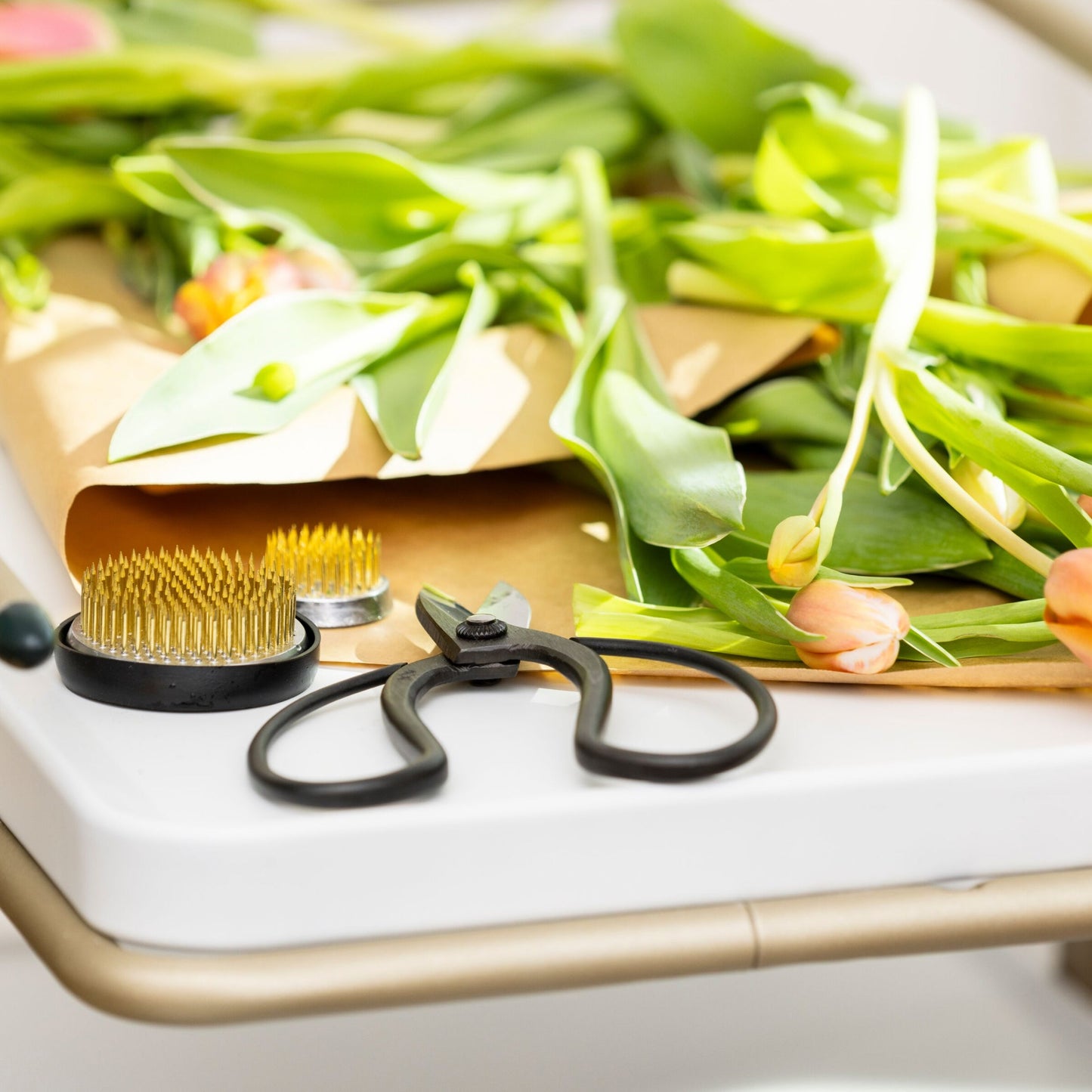 Forbici da giardino Niwaki Sentei