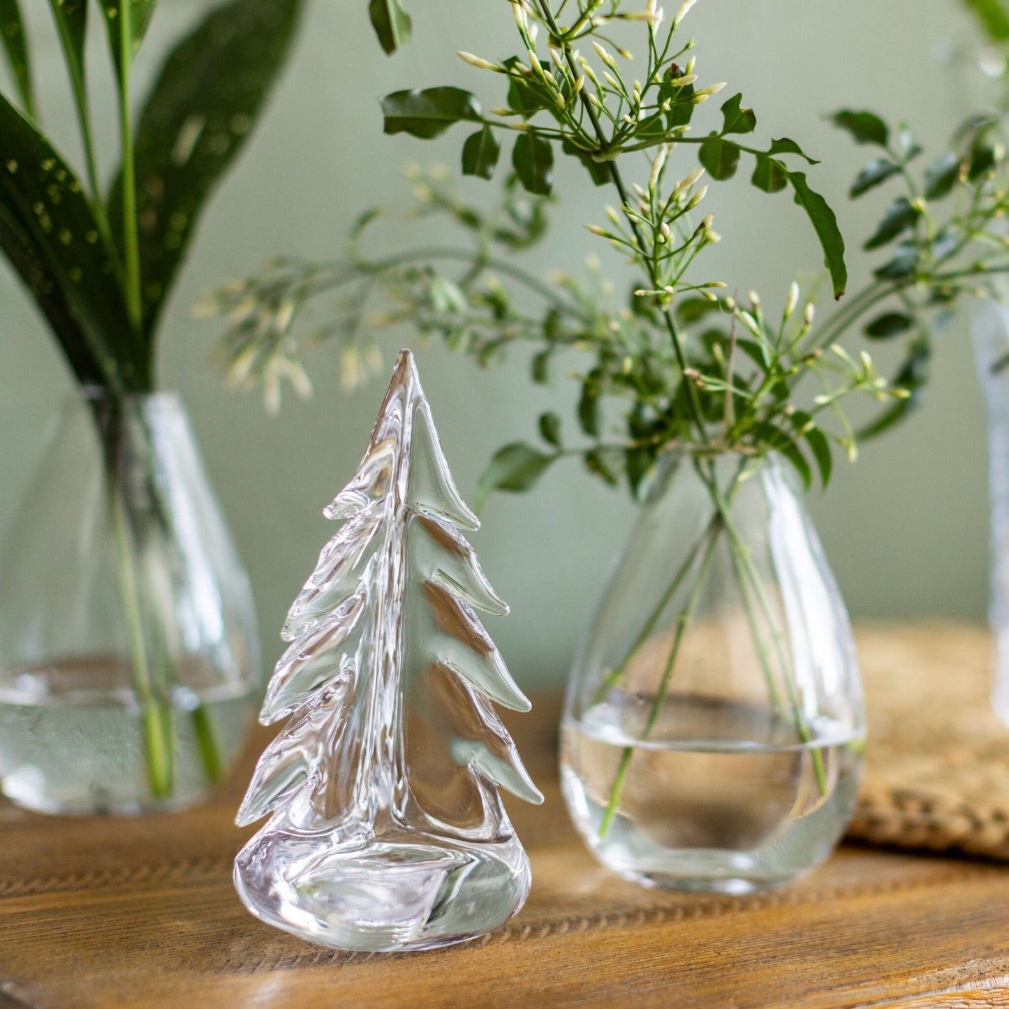 Vermont Evergreen in confezione regalo