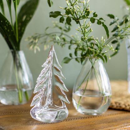 Vermont Evergreen in confezione regalo