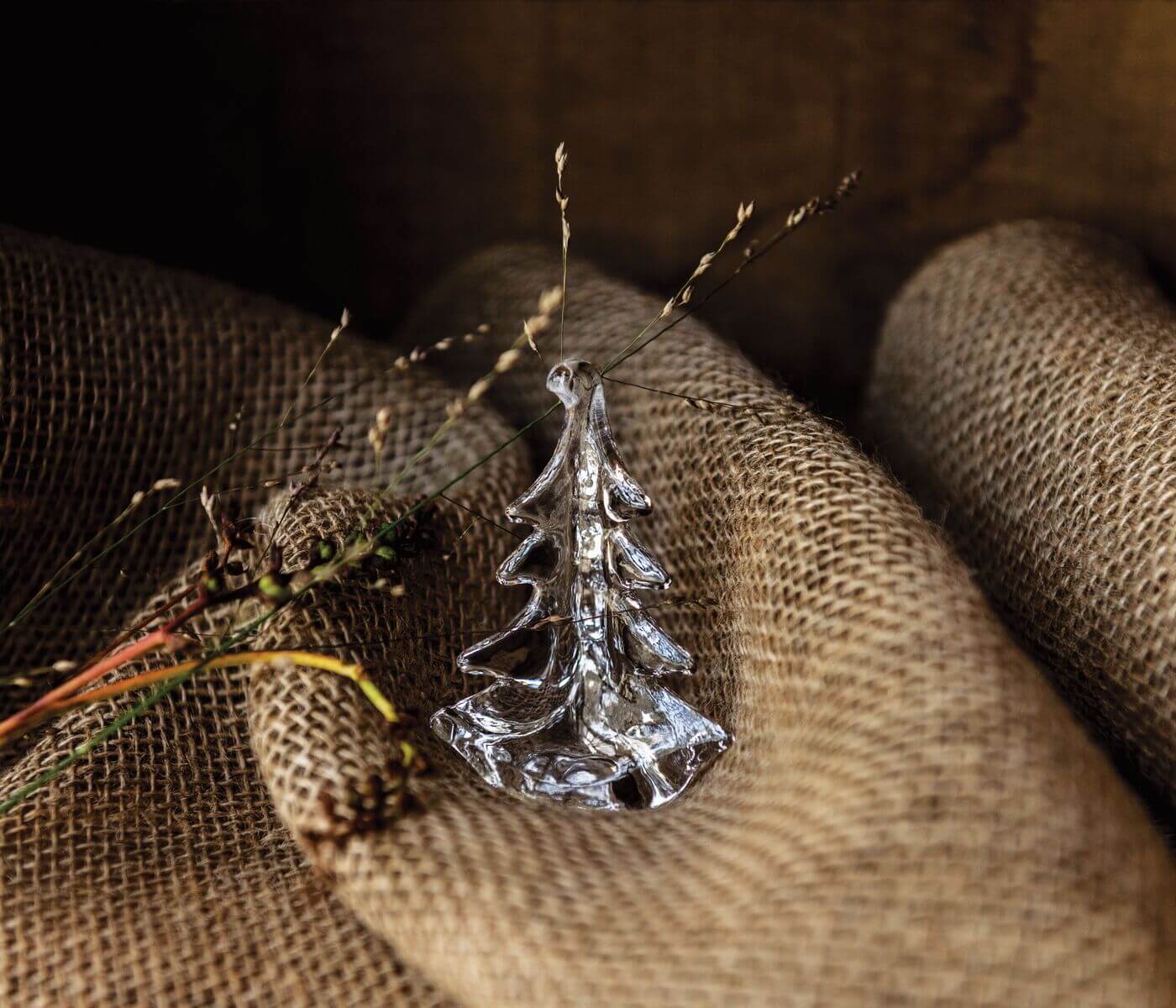 Ornamento sempreverde del Vermont