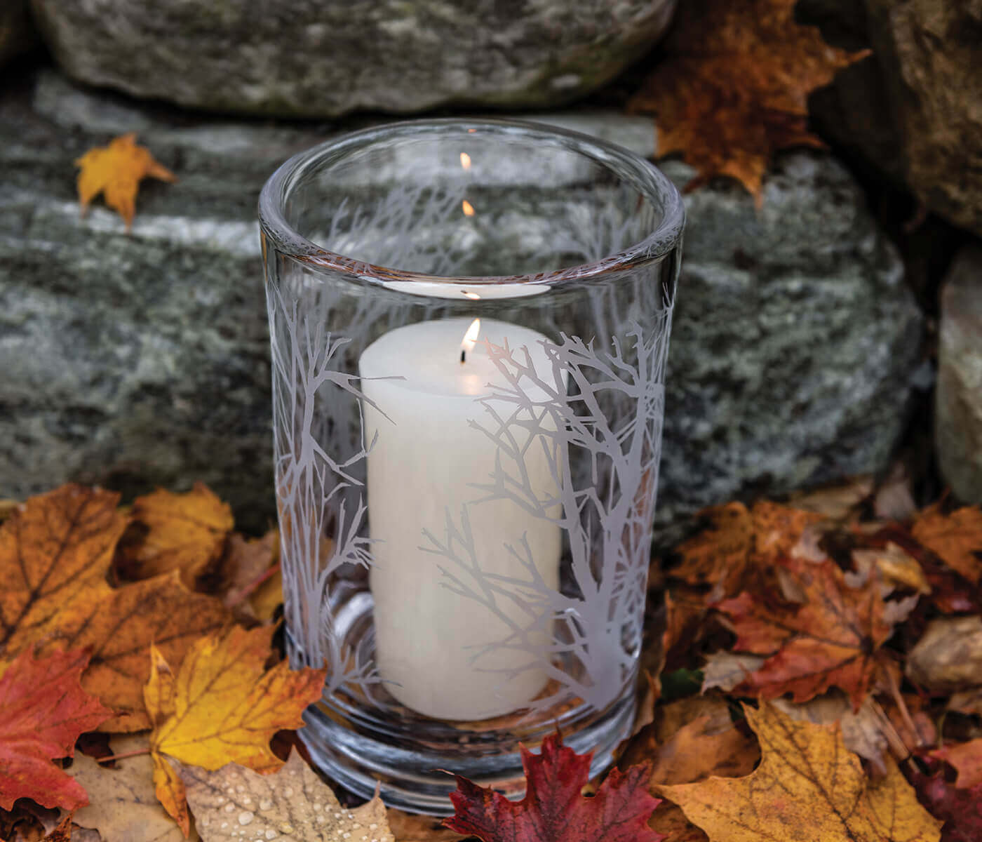 Uragano della foresta di pioppi inciso, grande