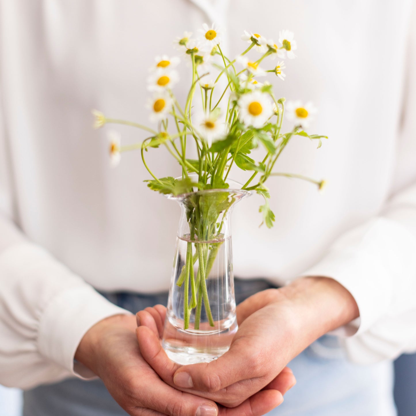 Barre Bud Vase in confezione regalo