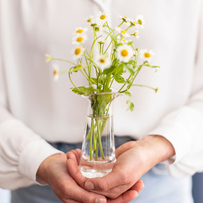 Barre Bud Vase in confezione regalo