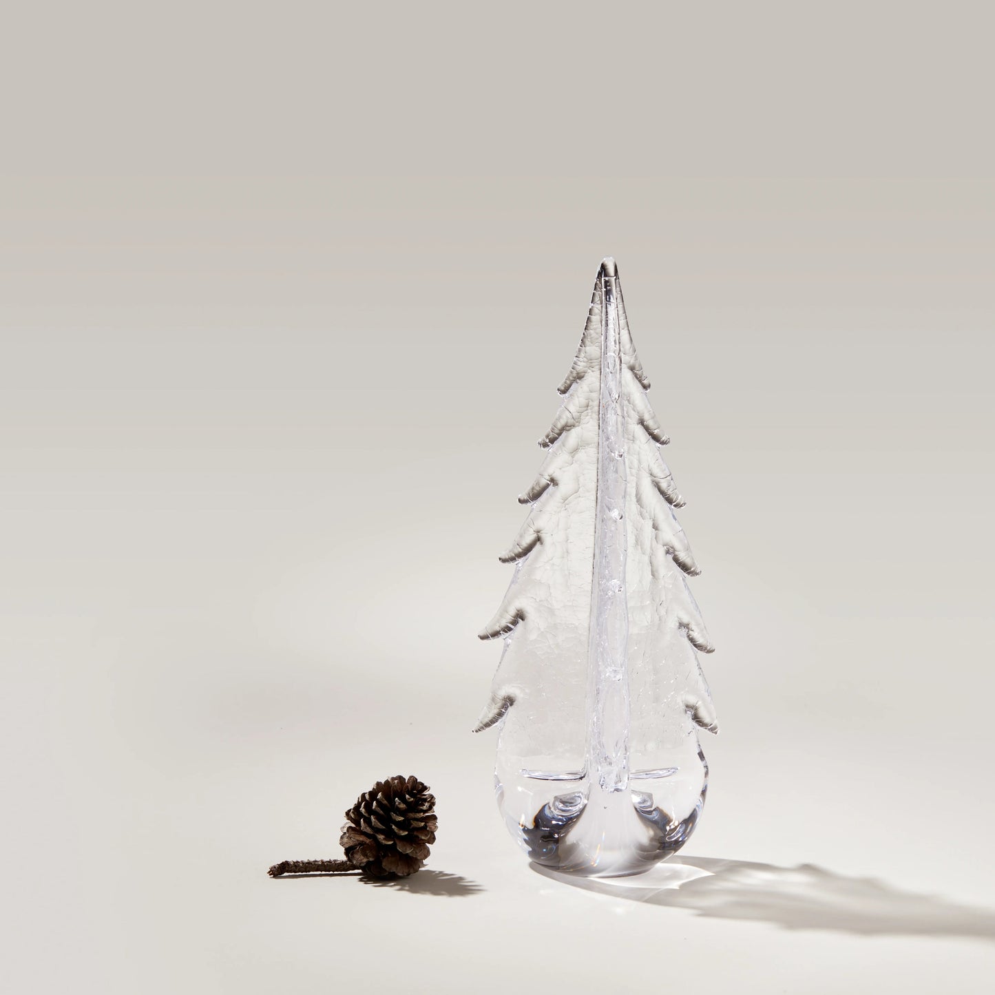 Crackle Evergreen in confezione regalo