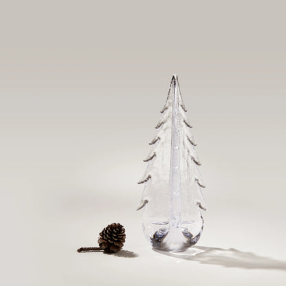 Crackle Evergreen in confezione regalo