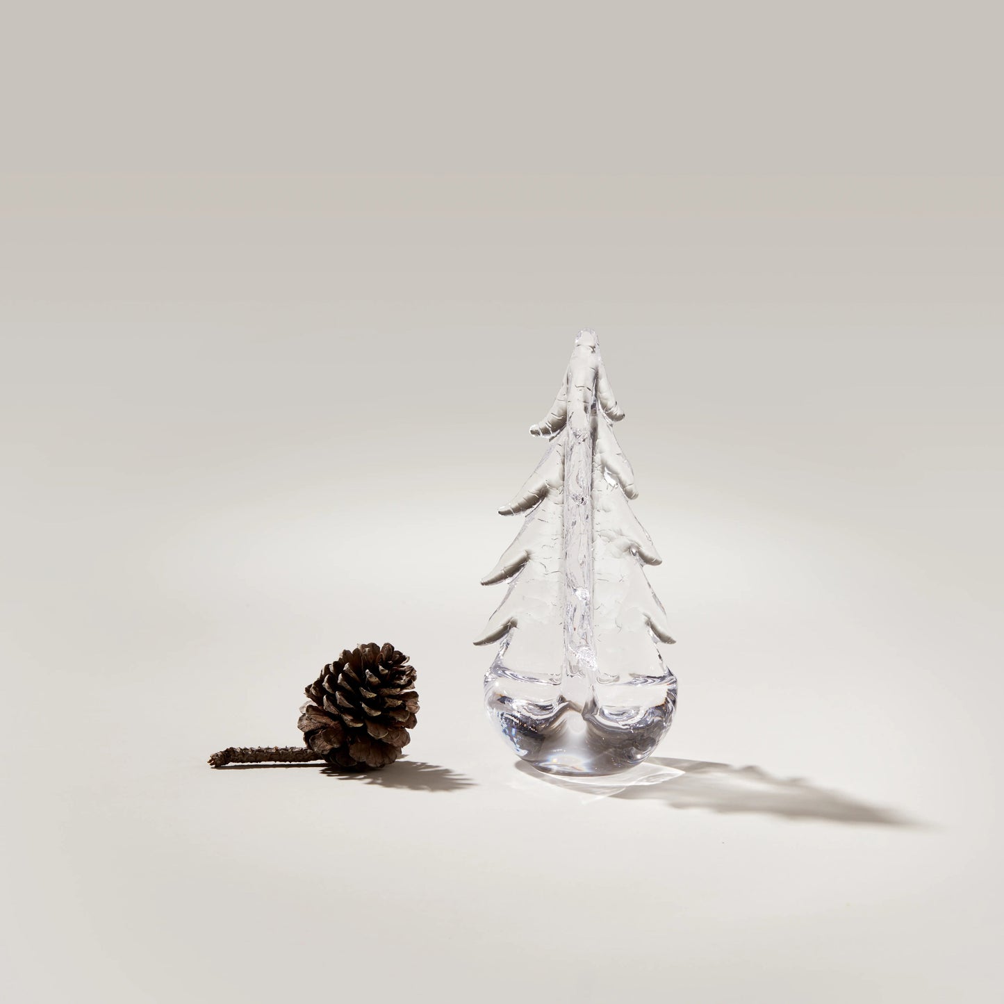 Crackle Evergreen in confezione regalo