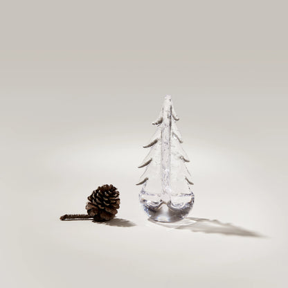 Crackle Evergreen in confezione regalo