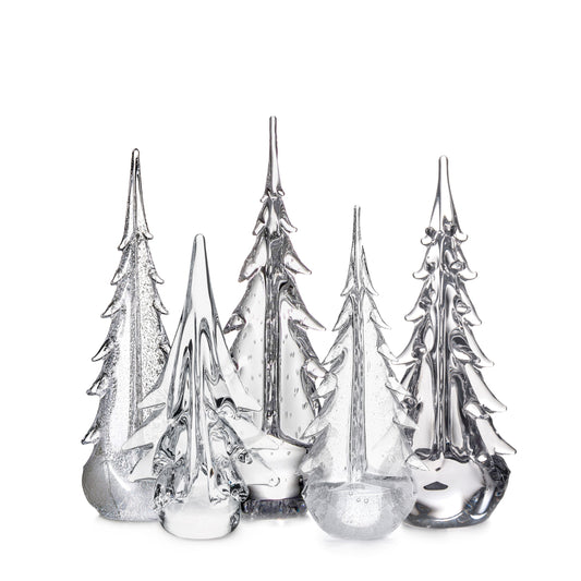 Foresta sempreverde di design