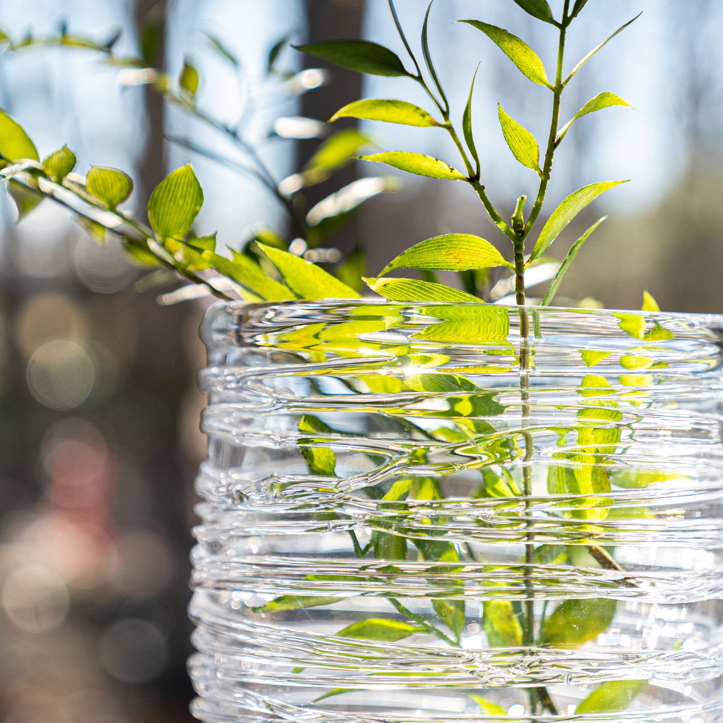 Echo Lake Hurricane in confezione regalo