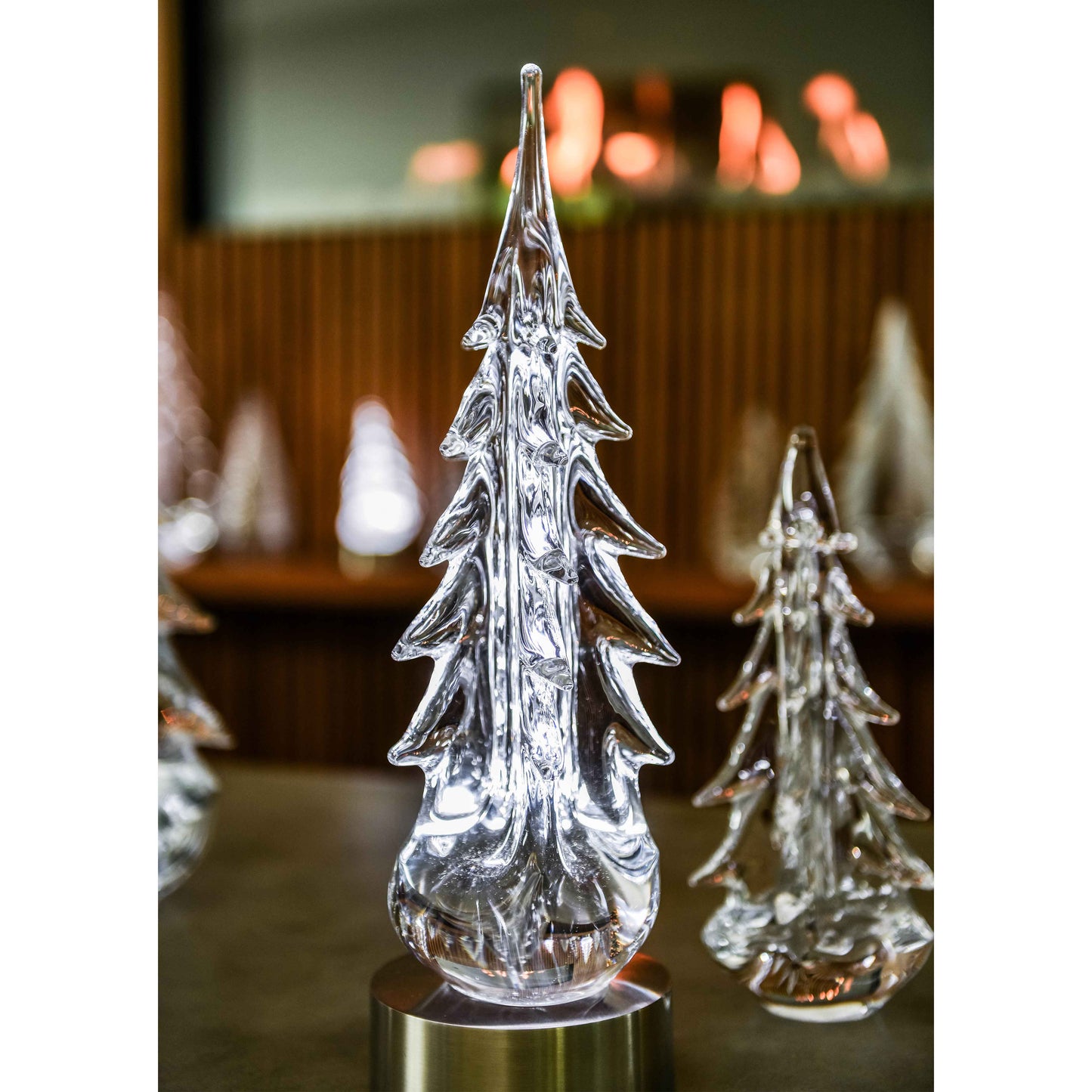 Sempreverde illuminato a cinque lati