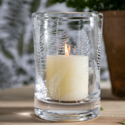 Felce incisa Hurricane