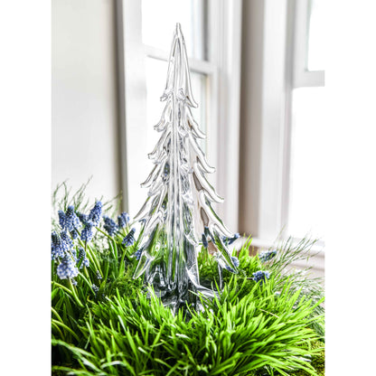 Sempreverde illuminato a cinque lati