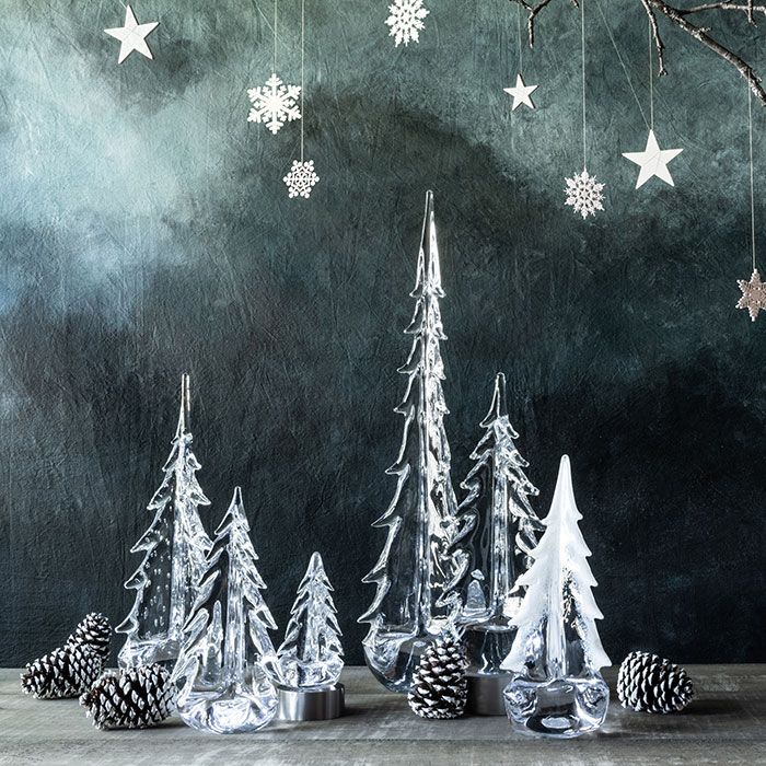 Grande foresta sempreverde