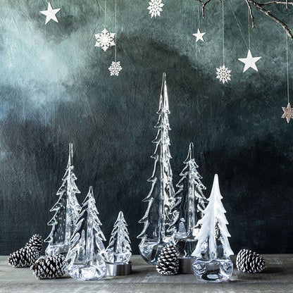 Grande foresta sempreverde