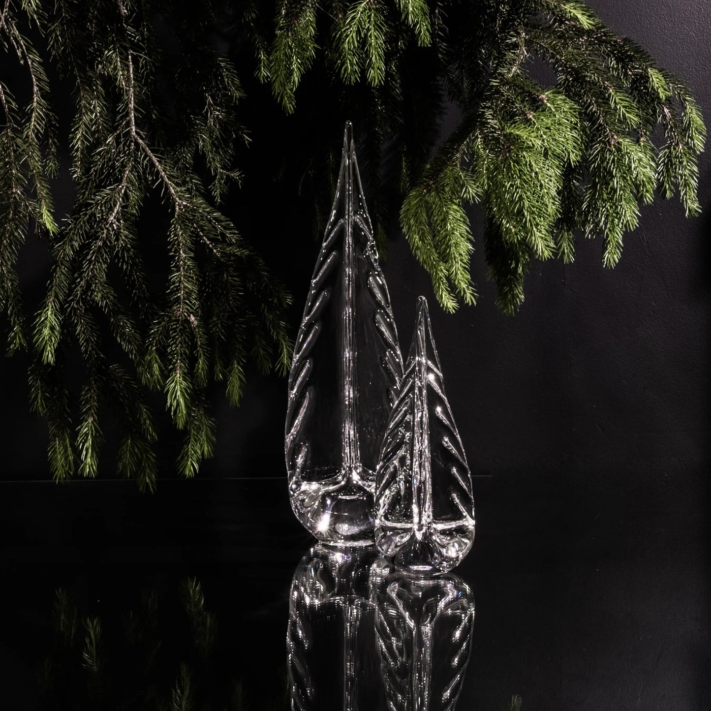 Sempreverde carico di ghiaccio