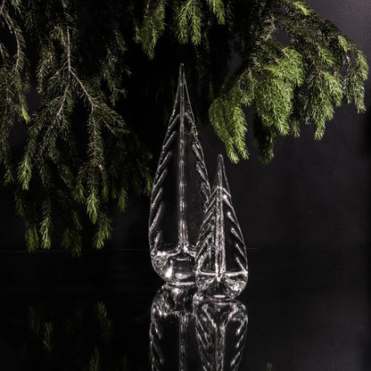 Sempreverde carico di ghiaccio