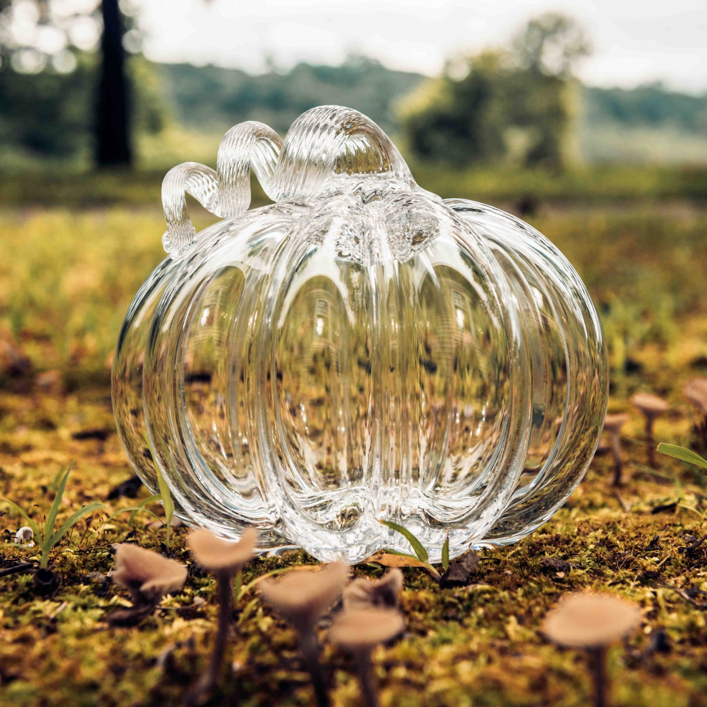 Trio di zucca con un tocco in più 